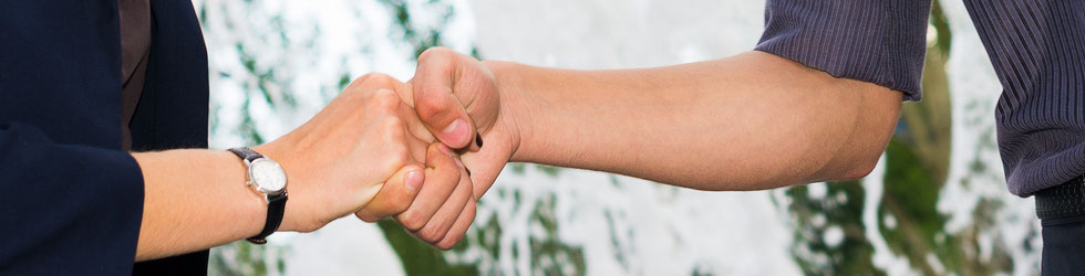 Image of people greeting each other with a handshake